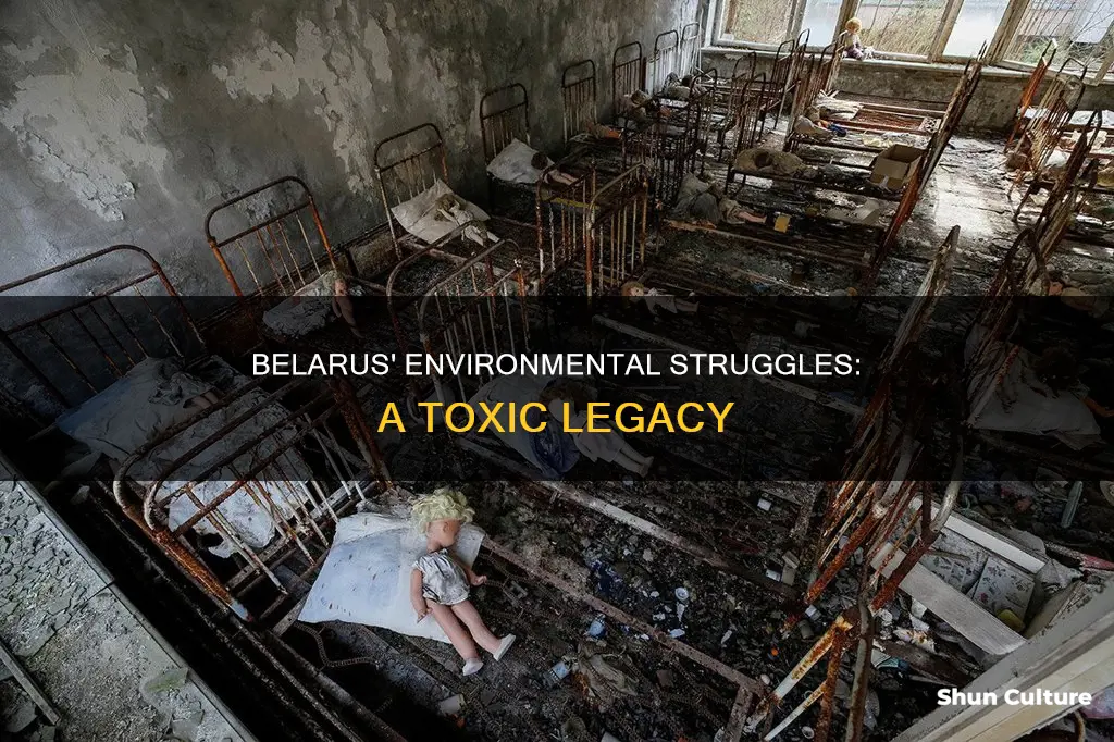 what environmental issue is belarus dealing with