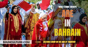 Bahrain's Rich Cultural Diversity: Exploring Ethnic Groups