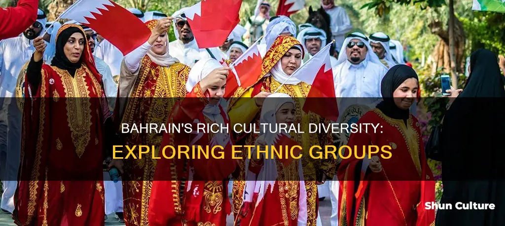 what ethnic groups are in bahrain