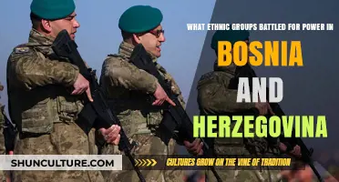 Bosnia and Herzegovina: Ethnic Power Struggles and Historical Conflicts