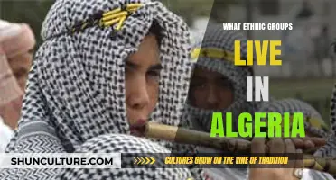 Algeria's Rich Cultural Mosaic: Exploring Its Diverse Ethnic Groups