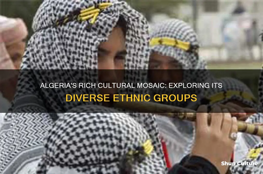 what ethnic groups live in algeria