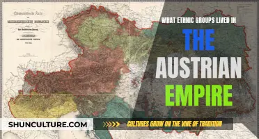 Exploring the Diversity: Ethnic Groups in the Austrian Empire