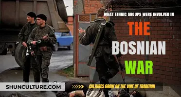 Ethnic Groups in Conflict: The Bosnian War's Complex Participants