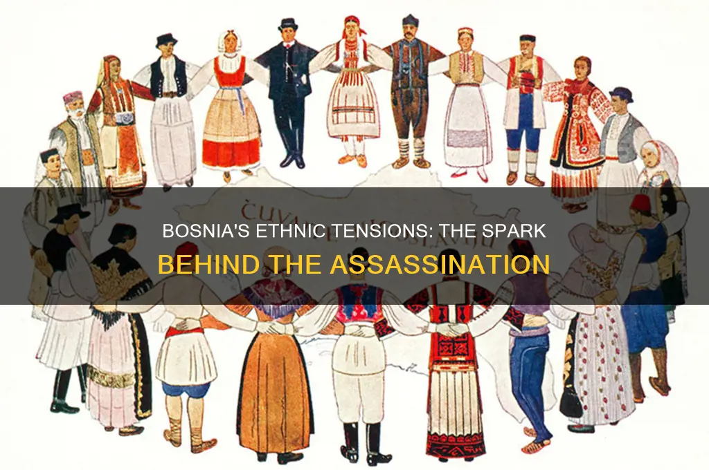 what ethnic tensions in bosnia led to the assassination