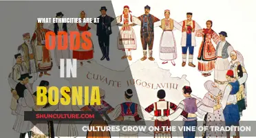 Bosnia's Ethnic Tensions: Unraveling the Complexities of Divides and Strife