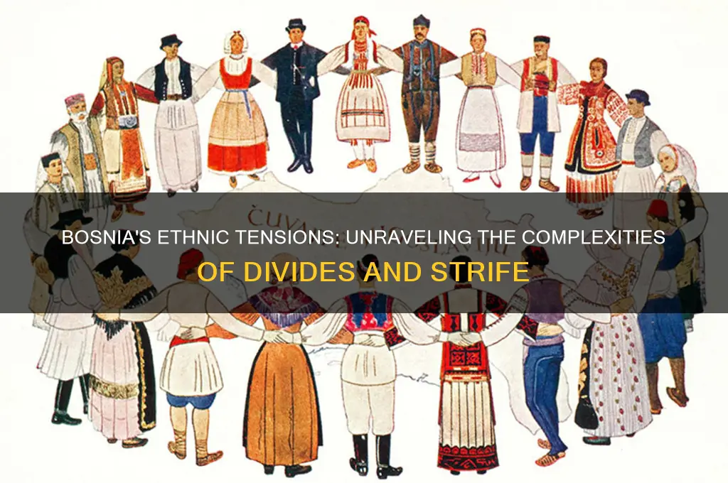what ethnicities are at odds in bosnia