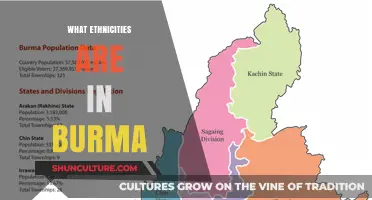 Exploring the Rich Ethnic Diversity of Burma: A Comprehensive Guide