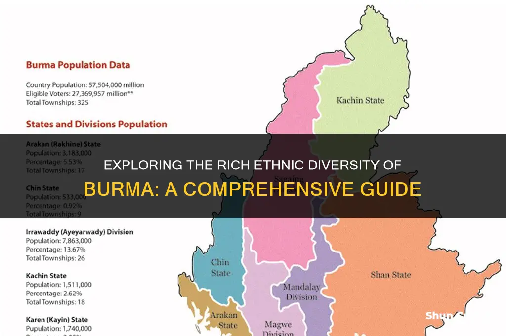 what ethnicities are in burma