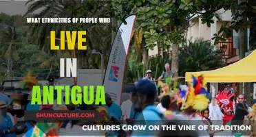 Exploring Antigua's Rich Cultural Mosaic: Ethnicities Shaping the Island's Identity