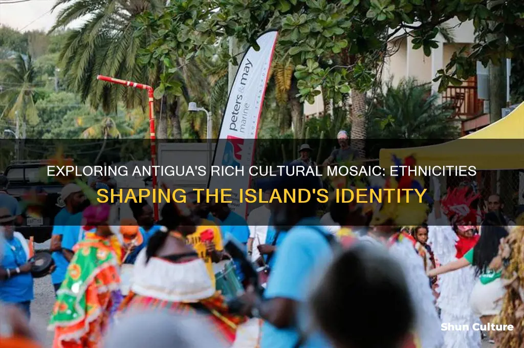 what ethnicities of people who live in antigua
