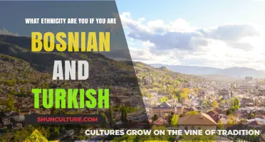 Bosnian and Turkish Heritage: Exploring a Rich Cultural Blend