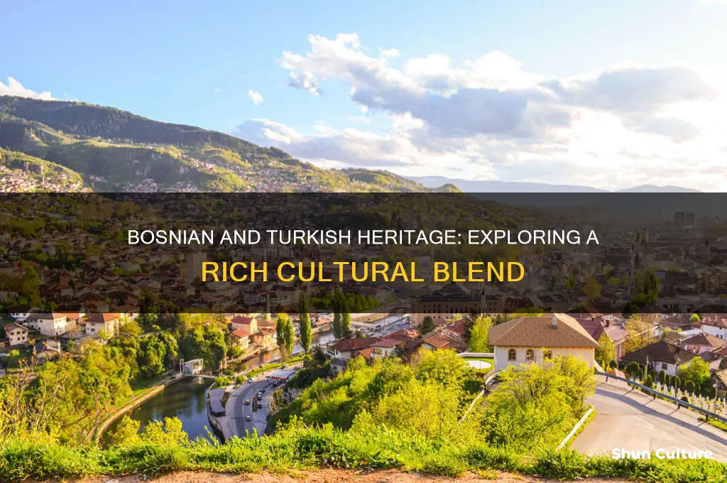 what ethnicity are you if you are bosnian and turkish