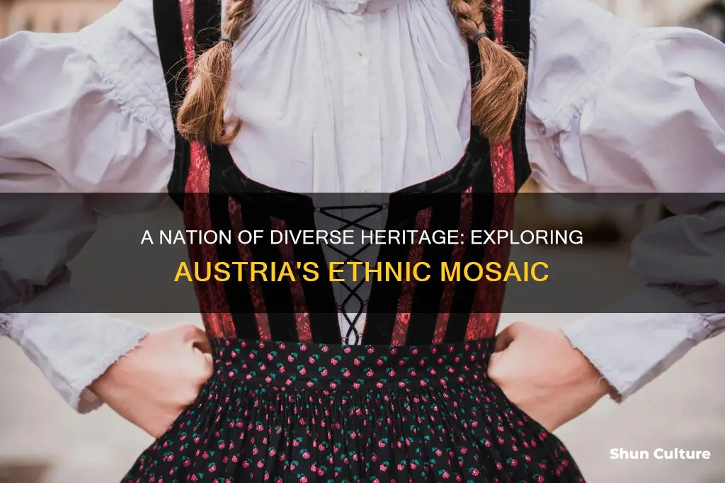 what ethnicity is austria