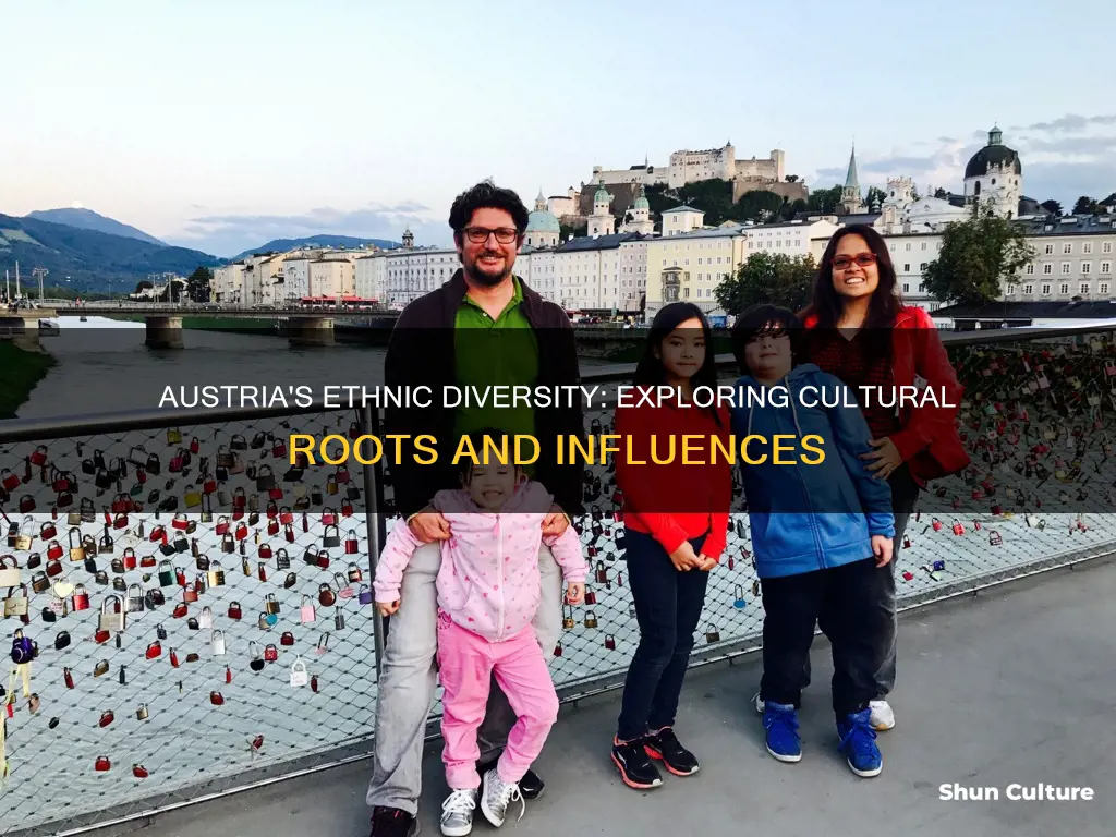 what ethnicity is austria