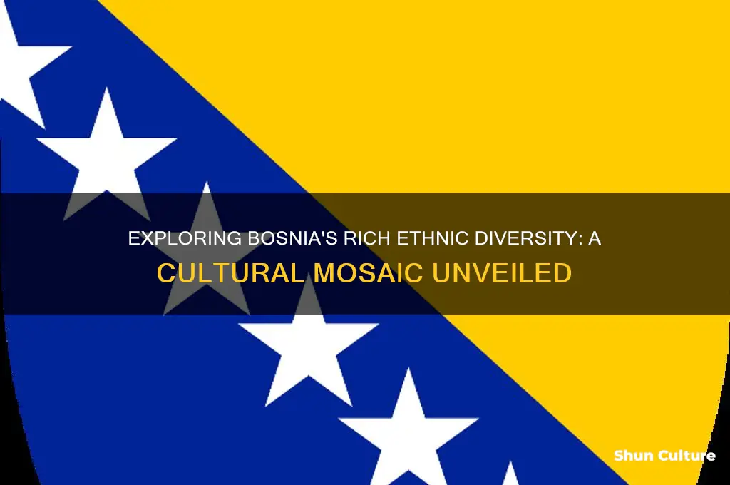 what ethnicity is bosnia