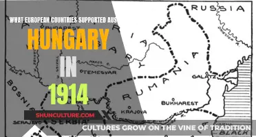 1914's European Allies: Austria-Hungary's Support Network