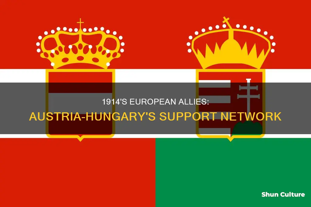 what european countries supported austria hungary in 1914