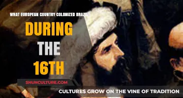 Portugal's 16th-Century Colonization of Brazil: A Historical Overview