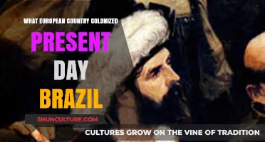 Portugal's Colonial Legacy: The Conquest of Present-Day Brazil