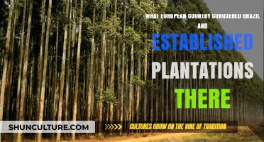 Portugal's Conquest of Brazil: Establishing Plantations in the New World