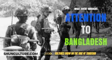 The 1971 Liberation War: Bangladesh's Defining Moment and Global Awakening