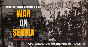 The Spark: Austria's Declaration of War on Serbia