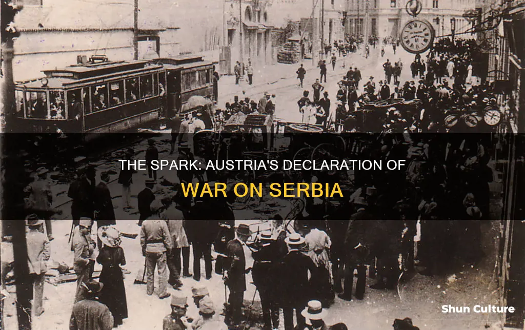 what event caused austria to declare war on serbia