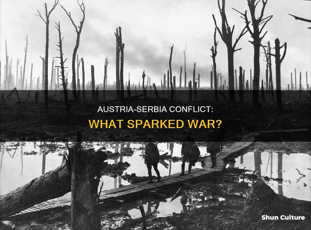what event caused austria to declare war on serbia