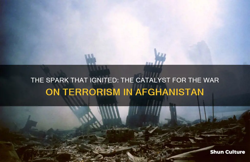 what event caused war on terrorism in afghanistan