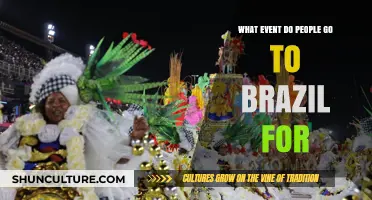 Discover Brazil's Must-See Event: Carnival and Beyond