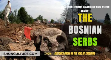 The Srebrenica Massacre: NATO's Turning Point in Bosnia