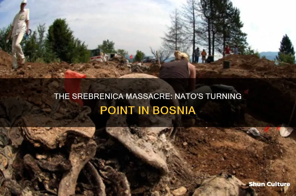 what event finally galvanized nato action against the bosnian serbs