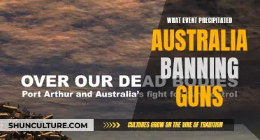 Australia's Gun Control: A Tragedy's Silver Lining