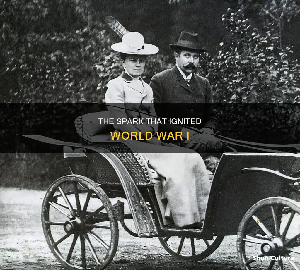 what event set off a war between austria-hungary and serbia