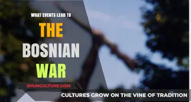 The Complex Origins of the Bosnian War: Key Events Explained