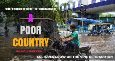 Bangladesh's Poverty: Examining Economic Indicators and Social Realities
