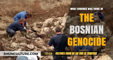 Uncovering the Bosnian Genocide: Evidence, Atrocities, and Historical Proof