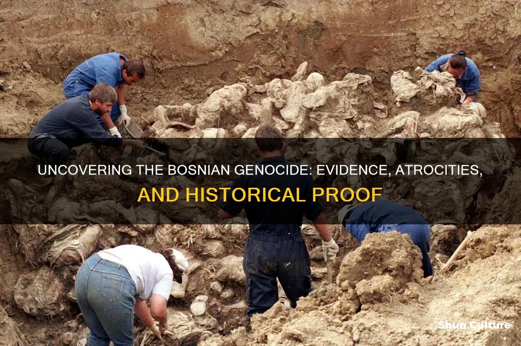 what evidence was there of the bosnian genocide