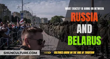 Russia-Belarus: Allies or Puppets?