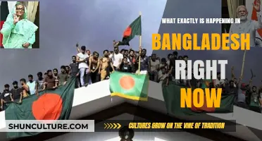 Bangladesh in Turmoil: Unraveling the Current Political and Social Crisis