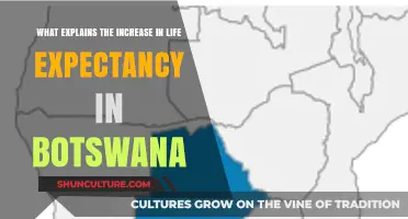 Botswana's Life Expectancy Rise: Key Factors and Insights Explained