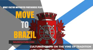 Exploring the Key Motivations Behind Portuguese Migration to Brazil