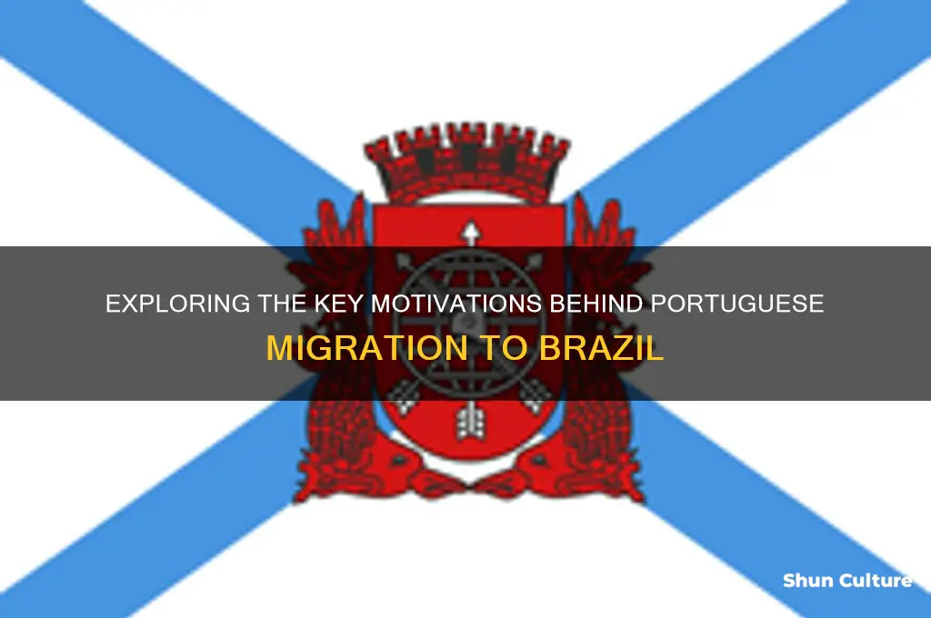 what factor motivated portuguese people to move to brazil