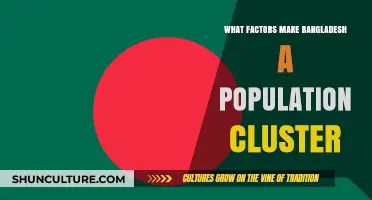 Exploring Bangladesh's Population Density: Key Factors Driving Its Cluster