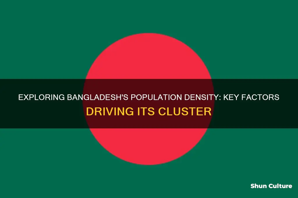 what factors make bangladesh a population cluster