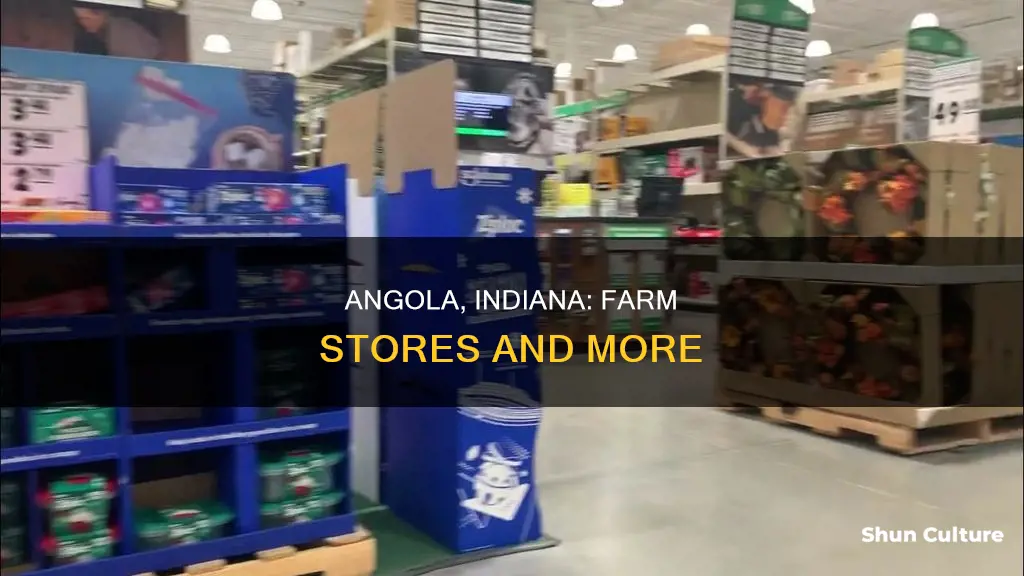 what farm stores are in angola indiana