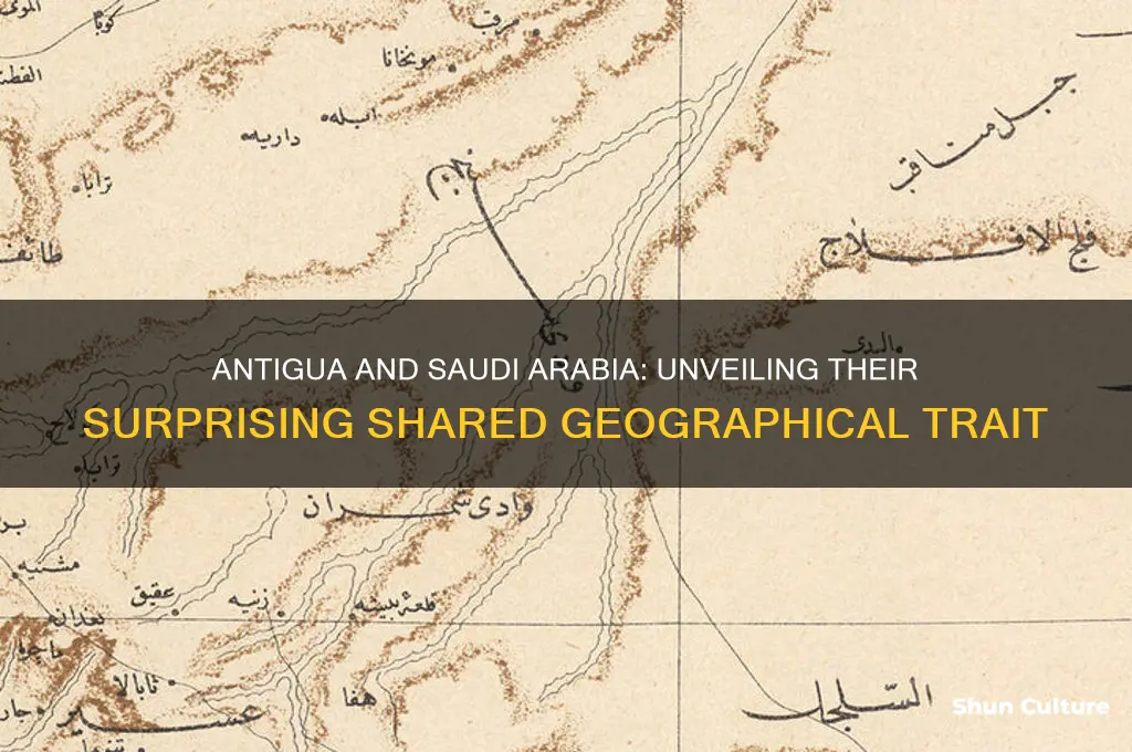 what feature does antigua share with saudi arabia