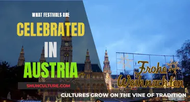 A Guide to Austria's Vibrant Festivals: A Cultural Journey