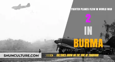 Wings Over Burma: Fighter Planes of World War II